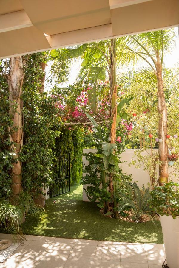 Million Flowers بروتاراس المظهر الخارجي الصورة